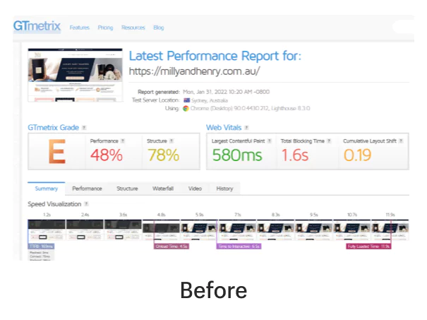 Shopify Pro Designer