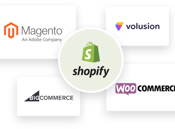 Shopify Pro Designer