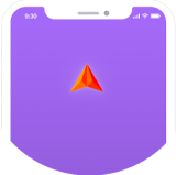 Shopify Pro Designer